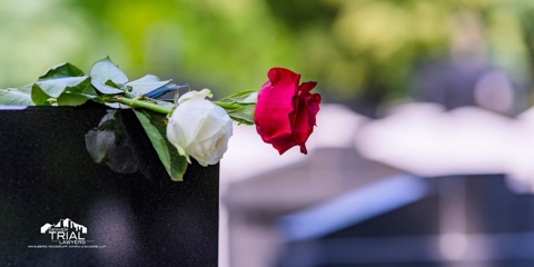 White and Red rose on top of a grave headstone.